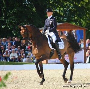 55 DAGE PÅ HESTEGALLERI - Dag 12: Et billede af din yndlings disciplin: Dressur <3
 billede 12