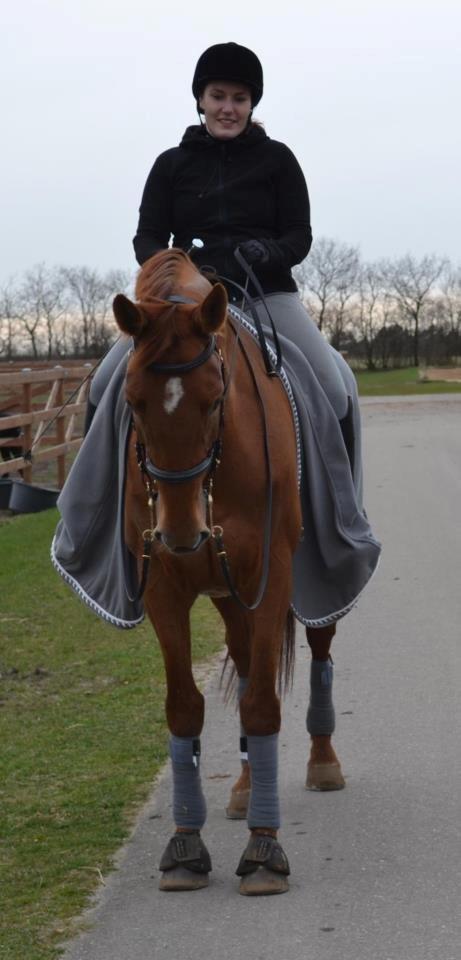 Mine tre dejlige dressurheste :) - Whitney på skridttur efter kursus ved Jørgen Rask :) billede 2