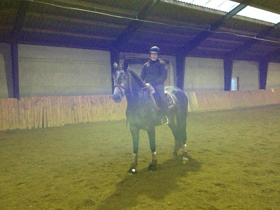 Mine tre dejlige dressurheste :) - Bjøslevgaards Santana - en af de første ture på ryggen af hende billede 9