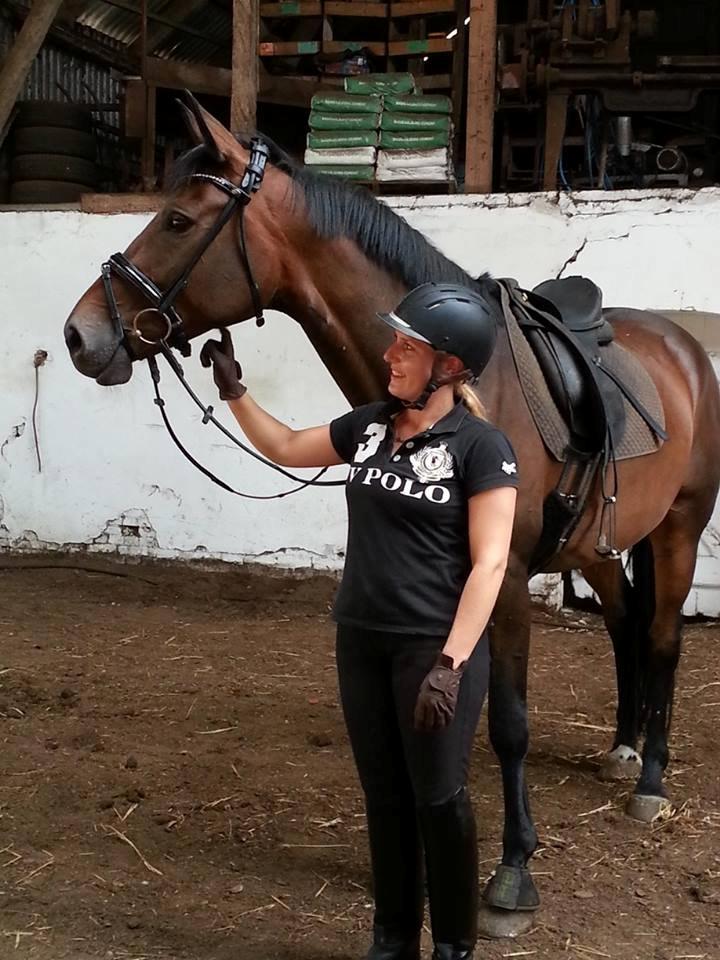 Mine tre dejlige dressurheste :) - José af Granly :) billede 13