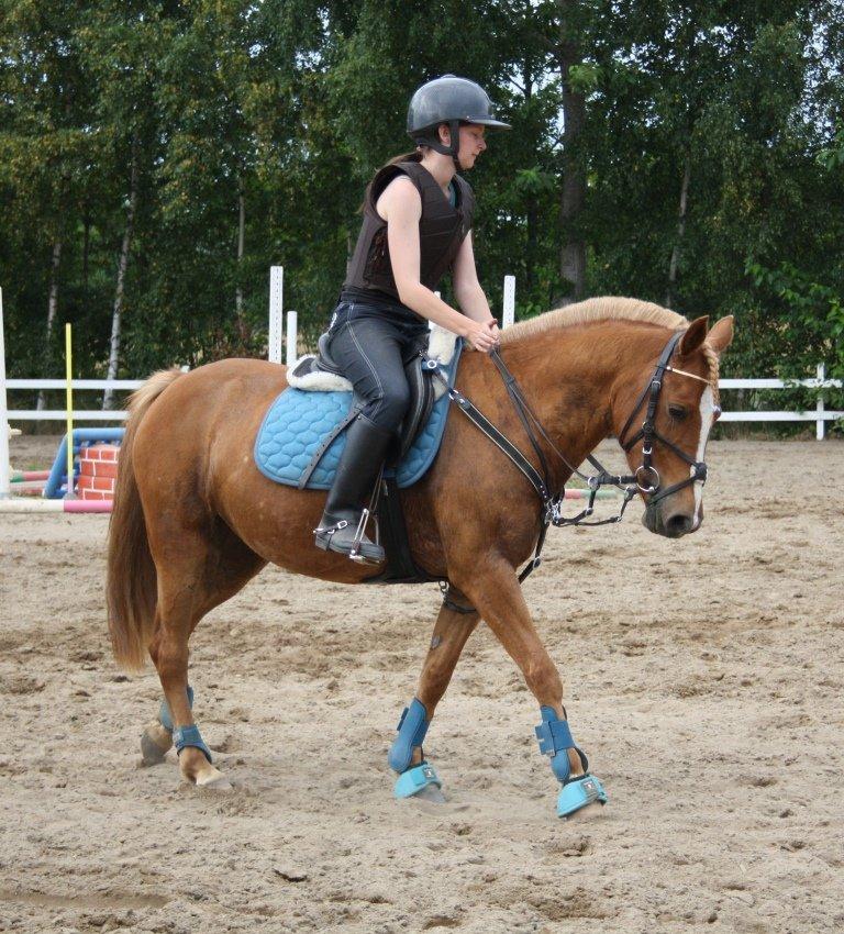 Maybe Baby 2013 - Springkursus Ulrich Gaarslev Juli 2013 billede 38