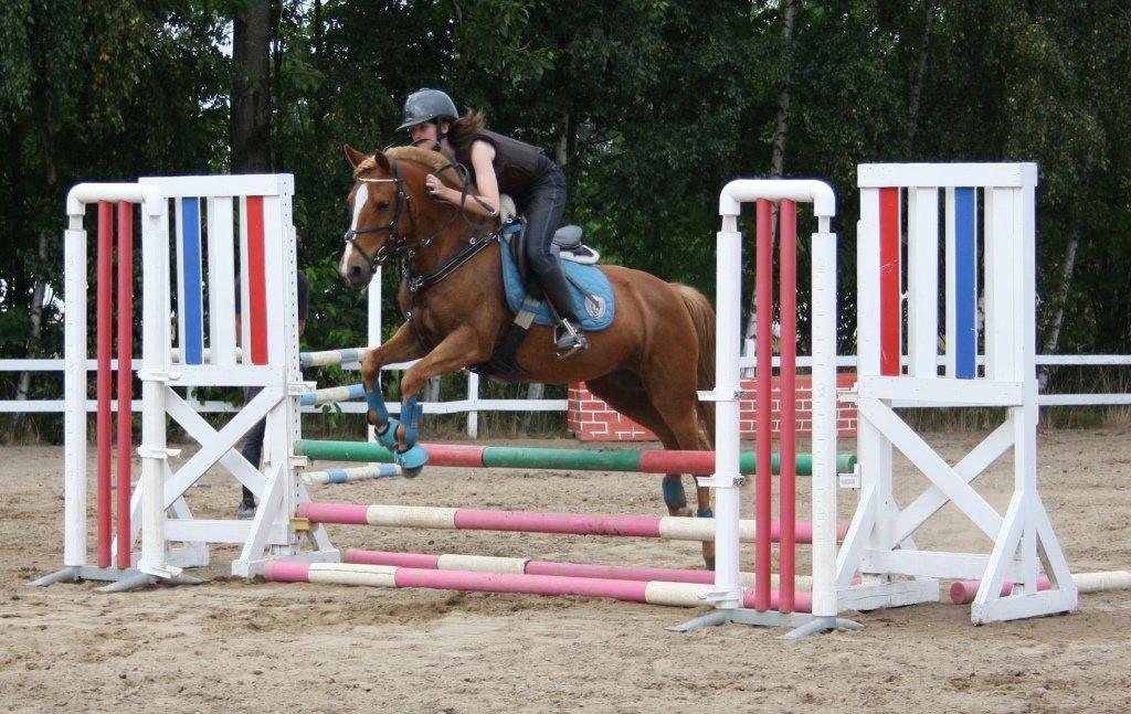 Maybe Baby 2013 - Springkursus Ulrich Gaarslev Juli 2013 billede 39