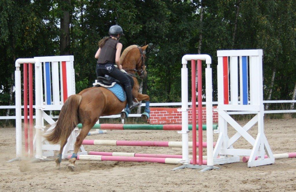 Maybe Baby 2013 - Springkursus Ulrich Gaarslev Juli 2013 billede 40