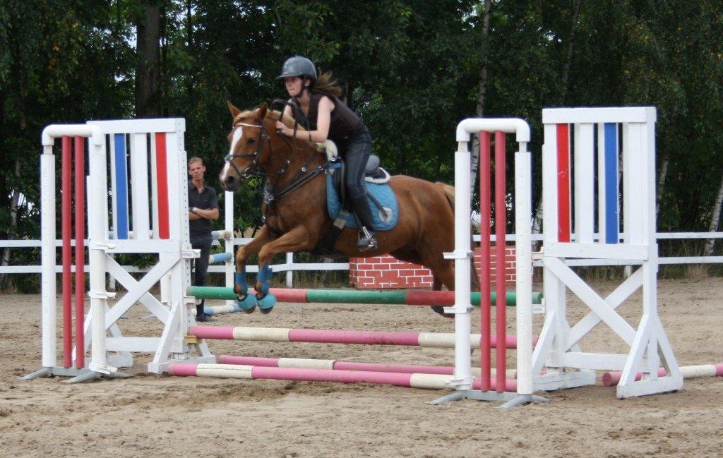 Maybe Baby 2013 - Springkursus Ulrich Gaarslev Juli 2013 billede 41