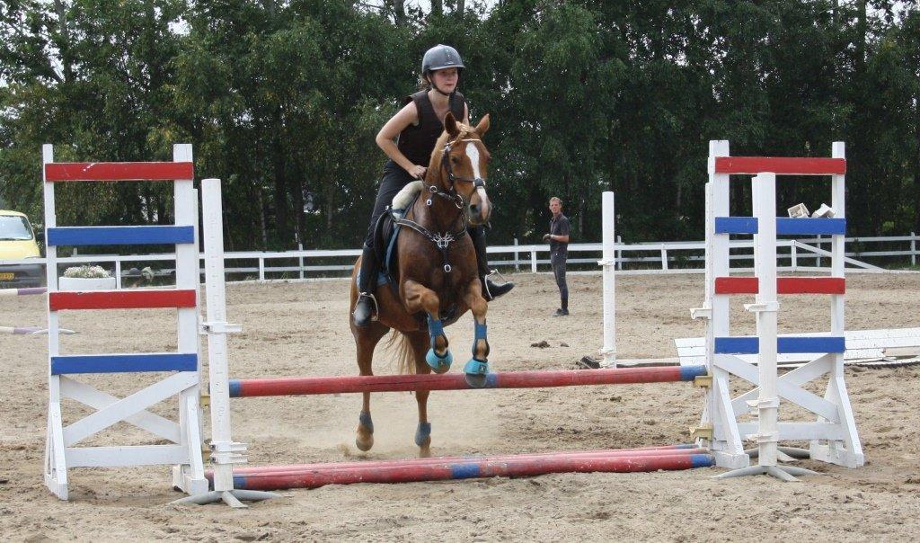 Maybe Baby 2013 - Springkursus Ulrich Gaarslev Juli 2013 billede 43