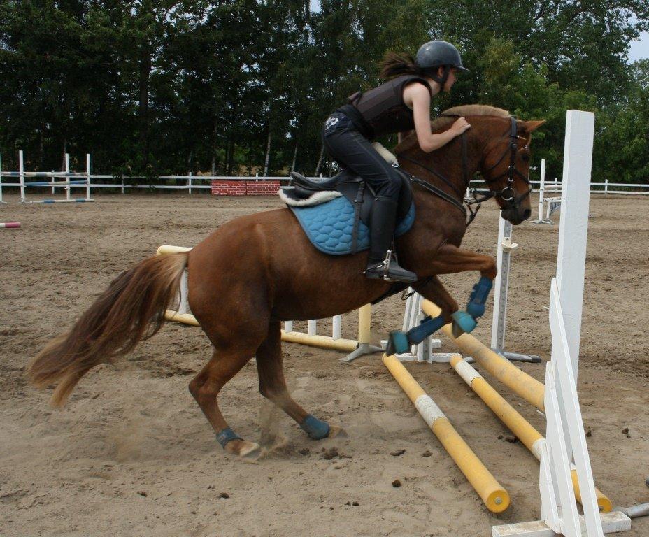 Maybe Baby 2013 - Springkursus Ulrich Gaarslev Juli 2013 billede 44