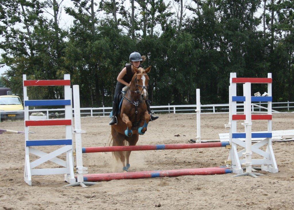 Maybe Baby 2013 - Springkursus Ulrich Gaarslev Juli 2013 billede 45