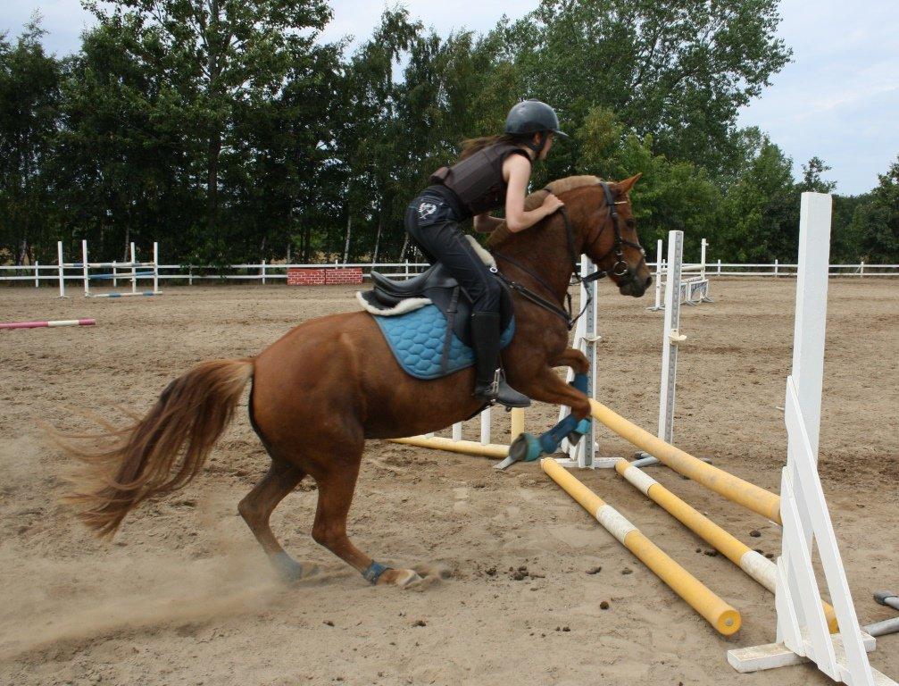 Maybe Baby 2013 - Springkursus Ulrich Gaarslev Juli 2013 billede 46