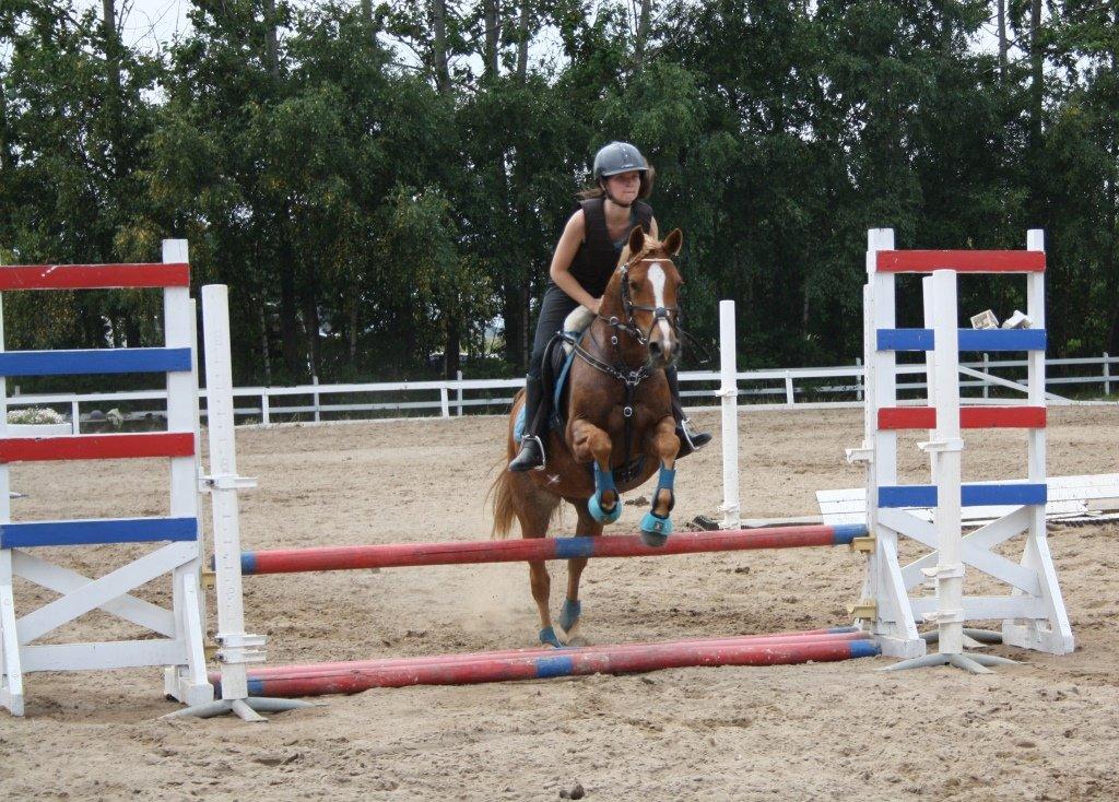 Maybe Baby 2013 - Springkursus Ulrich Gaarslev Juli 2013 billede 47