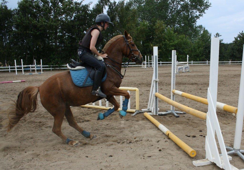 Maybe Baby 2013 - Springkursus Ulrich Gaarslev Juli 2013 billede 48