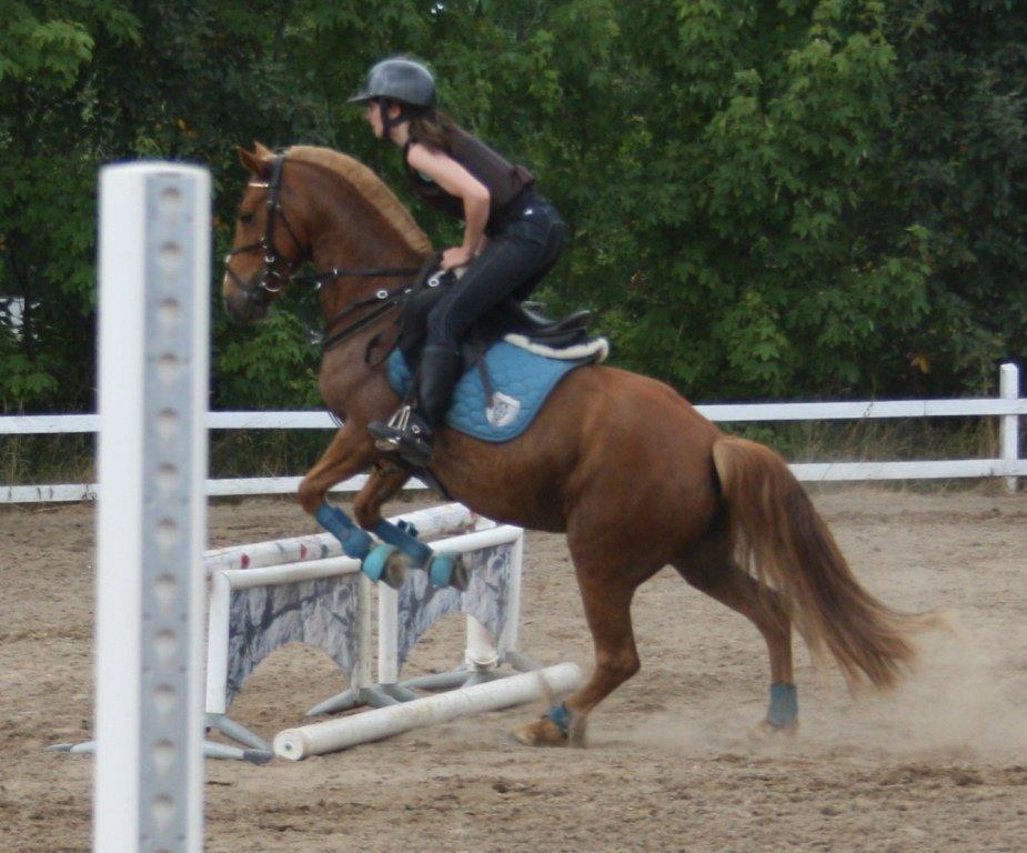 Maybe Baby 2013 - Springkursus Ulrich Gaarslev Juli 2013 billede 49