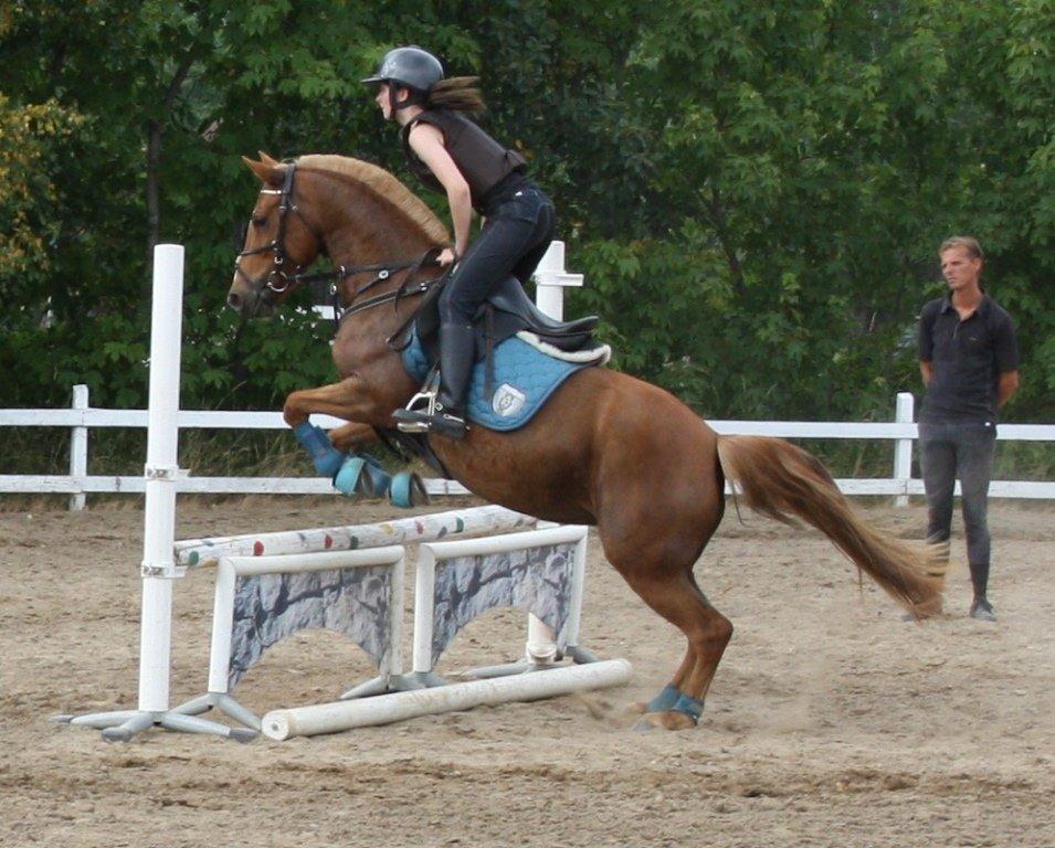 Maybe Baby 2013 - Springkursus Ulrich Gaarslev Juli 2013 billede 57