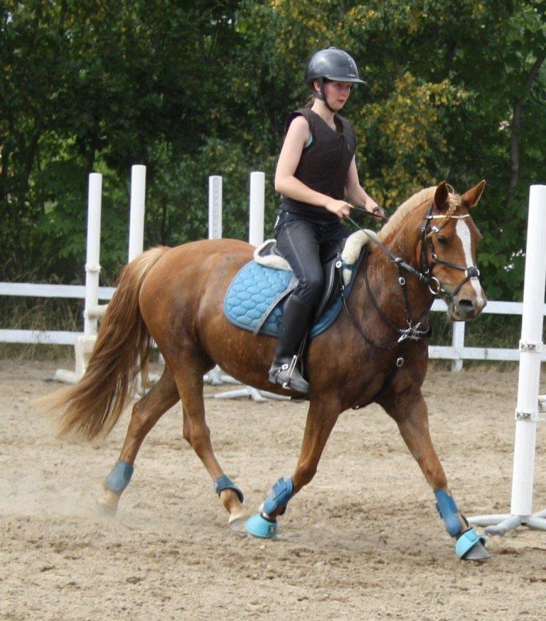 Maybe Baby 2013 - Springkursus Ulrich Gaarslev Juli 2013 billede 50