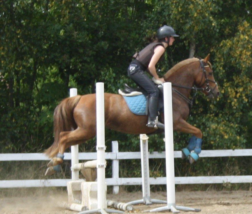 Maybe Baby 2013 - Springkursus Ulrich Gaarslev Juli 2013 billede 51