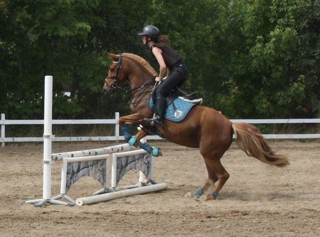 Maybe Baby 2013 - Springkursus Ulrich Gaarslev Juli 2013 billede 52