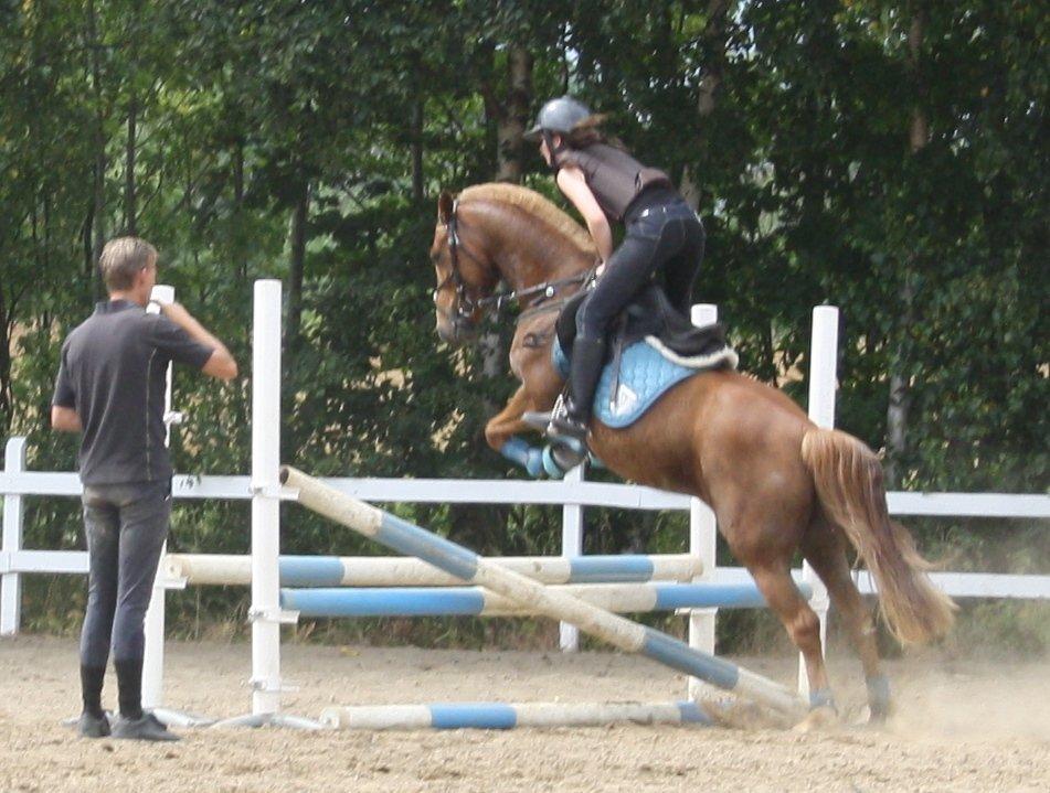 Maybe Baby 2013 - Springkursus Ulrich Gaarslev Juli 2013 billede 53