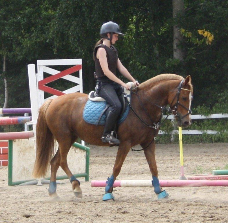 Maybe Baby 2013 - Springkursus Ulrich Gaarslev Juli 2013 billede 54