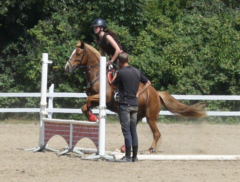 Maybe Baby 2013 - Springkursus Ulrich Gaarslev Juli 2013 billede 55