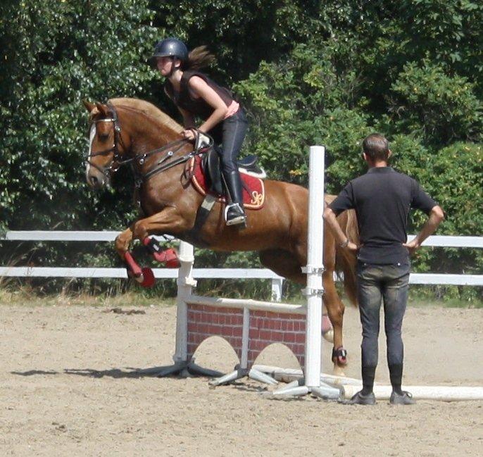 Maybe Baby 2013 - Springkursus Ulrich Gaarslev Juli 2013 billede 56