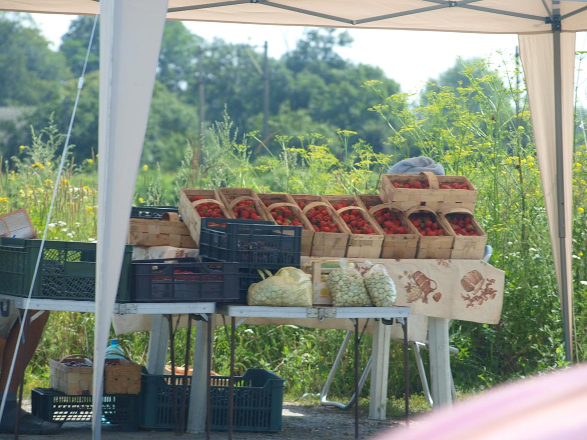 Min ferie i polen sommer 2013 - sådan nogle boder stod overalt i polen tæt på vejene der var også nogle stykker på motorvejen billede 1