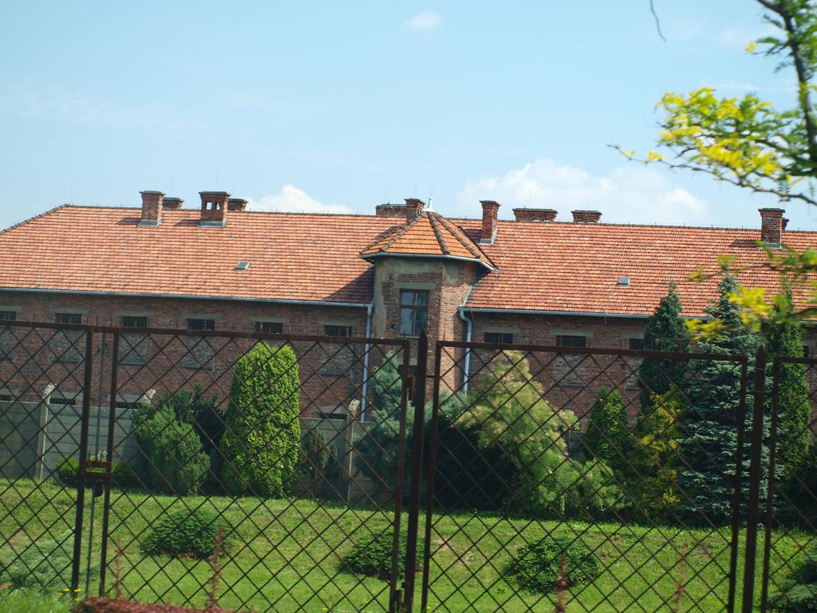 Min ferie i polen sommer 2013 billede 2