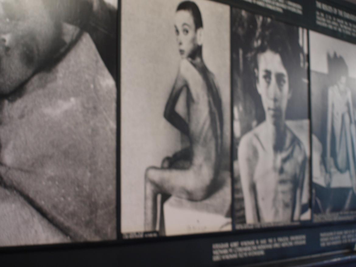 Min ferie i polen sommer 2013 - billeder af nogle som har været i lejren billede 11