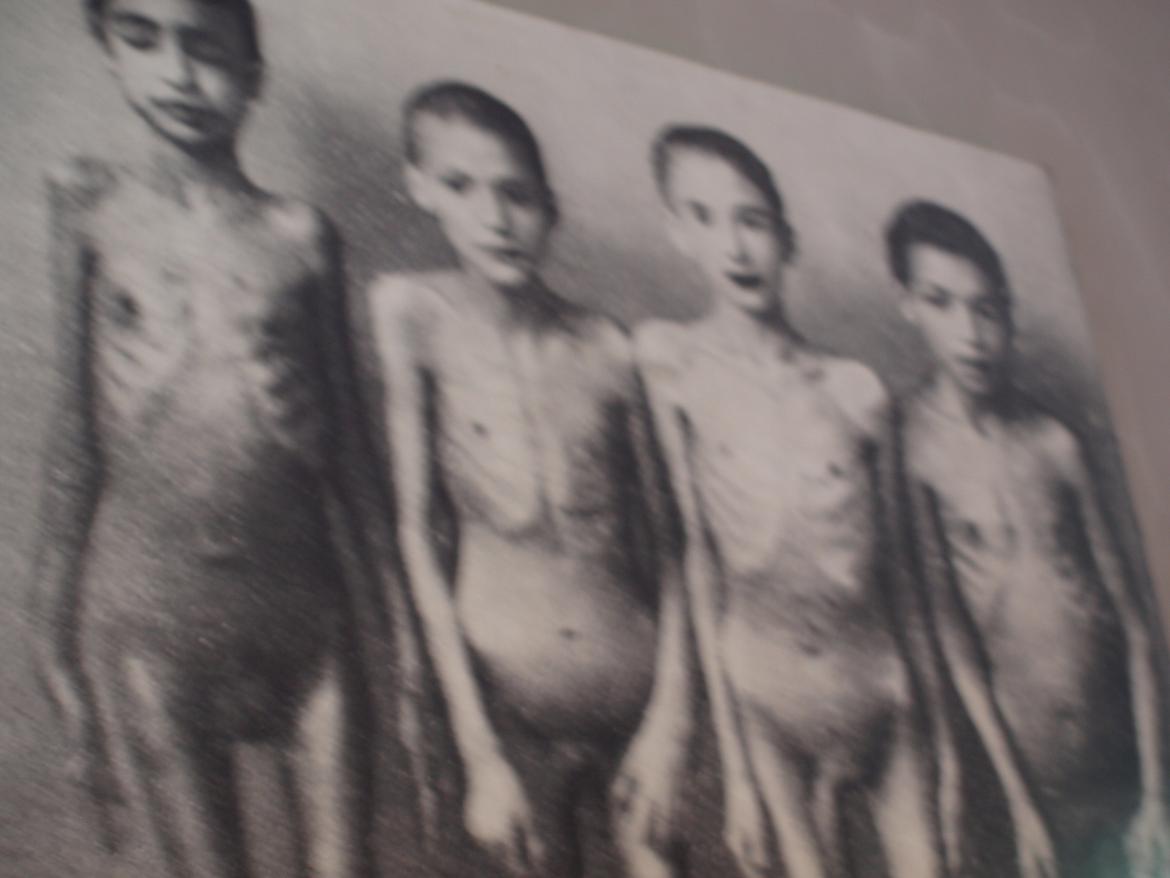 Min ferie i polen sommer 2013 billede 14