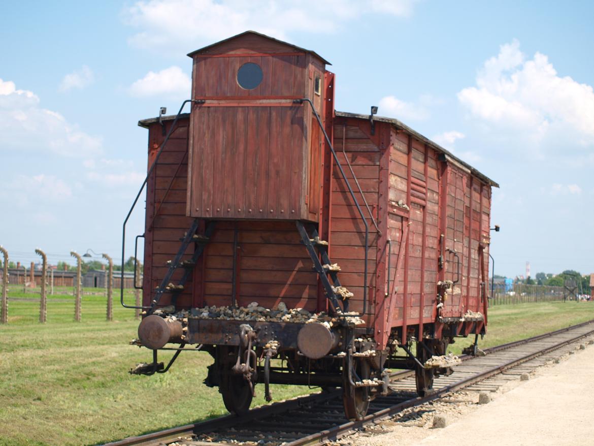 Min ferie i polen sommer 2013 billede 19