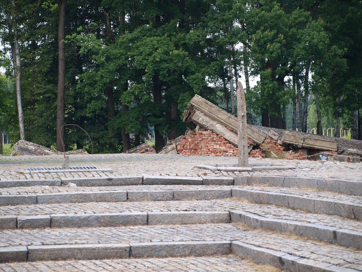 Min ferie i polen sommer 2013 billede 21