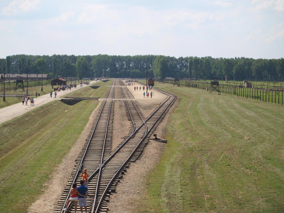 Min ferie i polen sommer 2013 - et billede fra tornet og ud over lejren billede 28