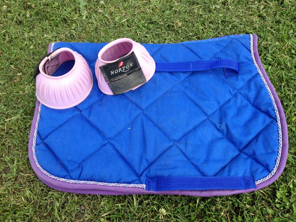 Shetlænder Udstyr billede 5