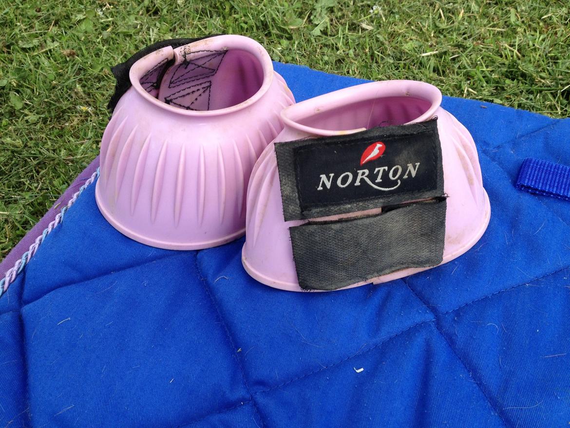 Shetlænder Udstyr billede 4