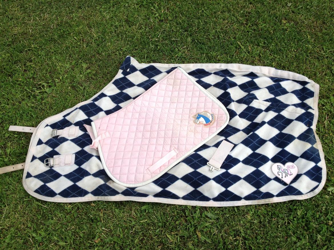 Shetlænder Udstyr billede 2