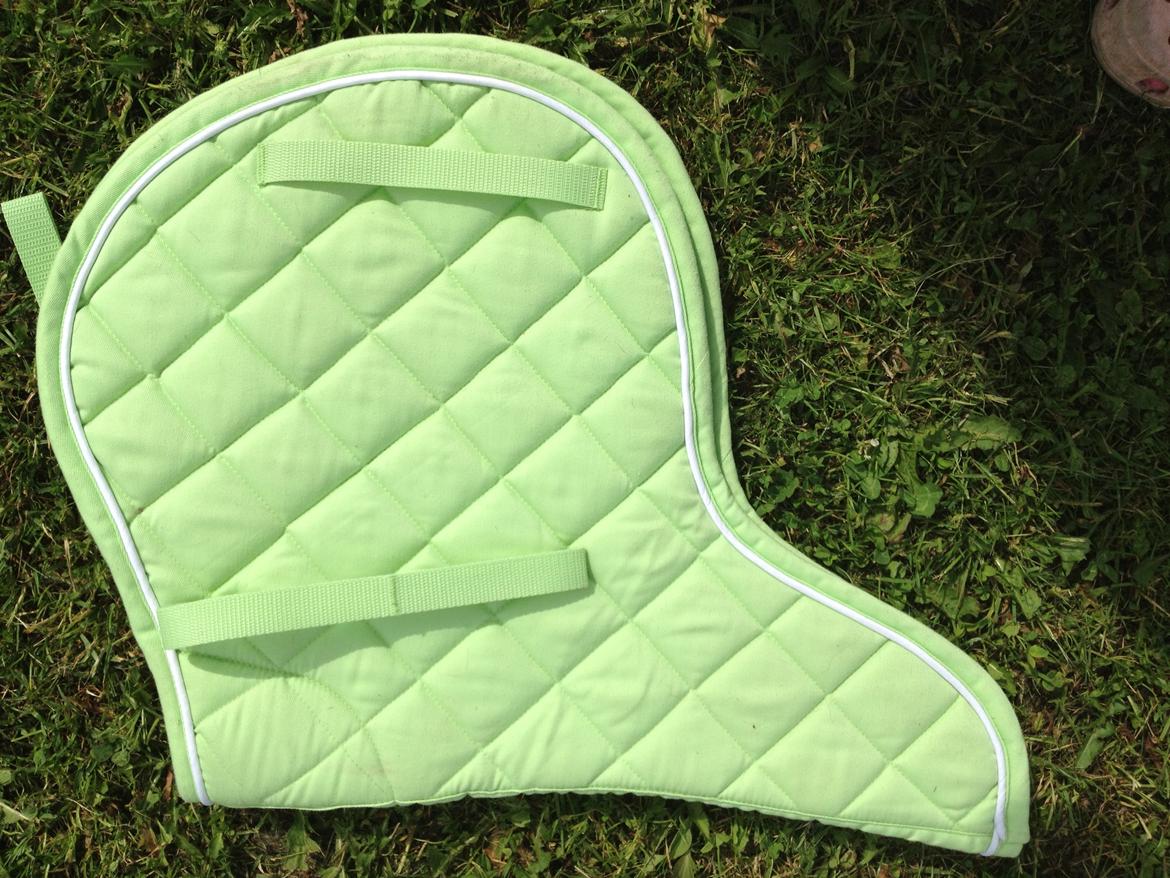 Shetlænder Udstyr billede 1