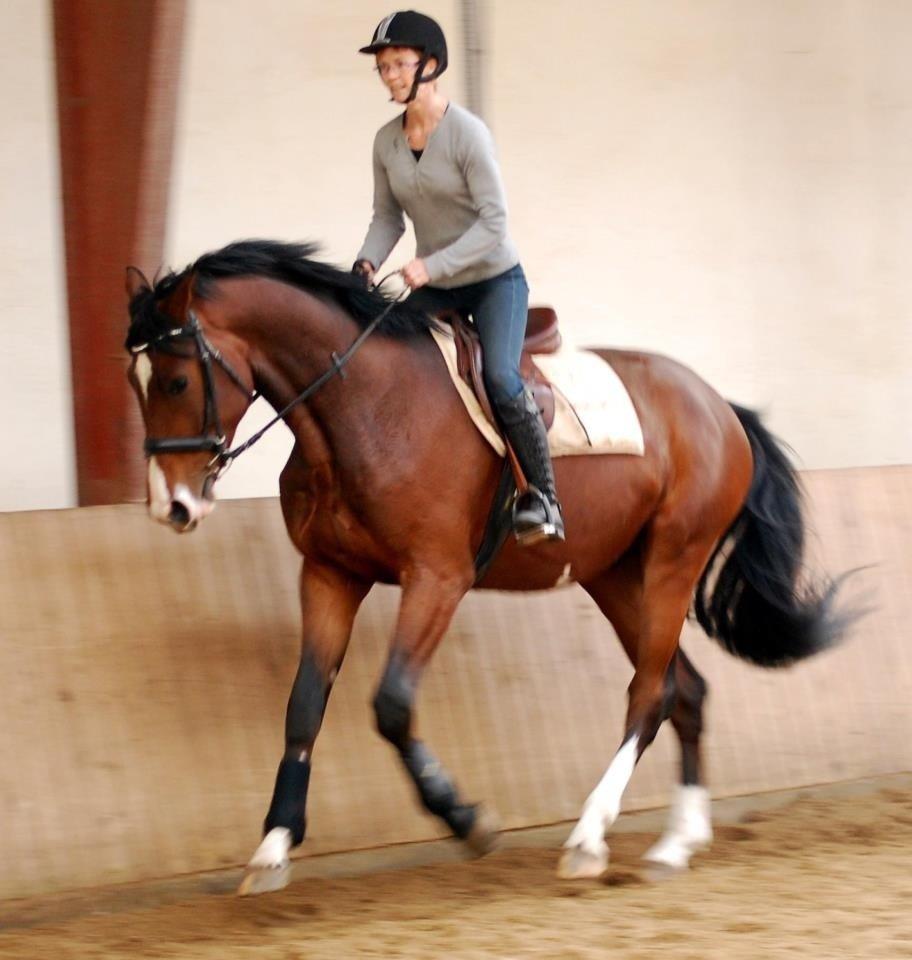 55 DAGE PÅ HESTEGALLERI billede 16