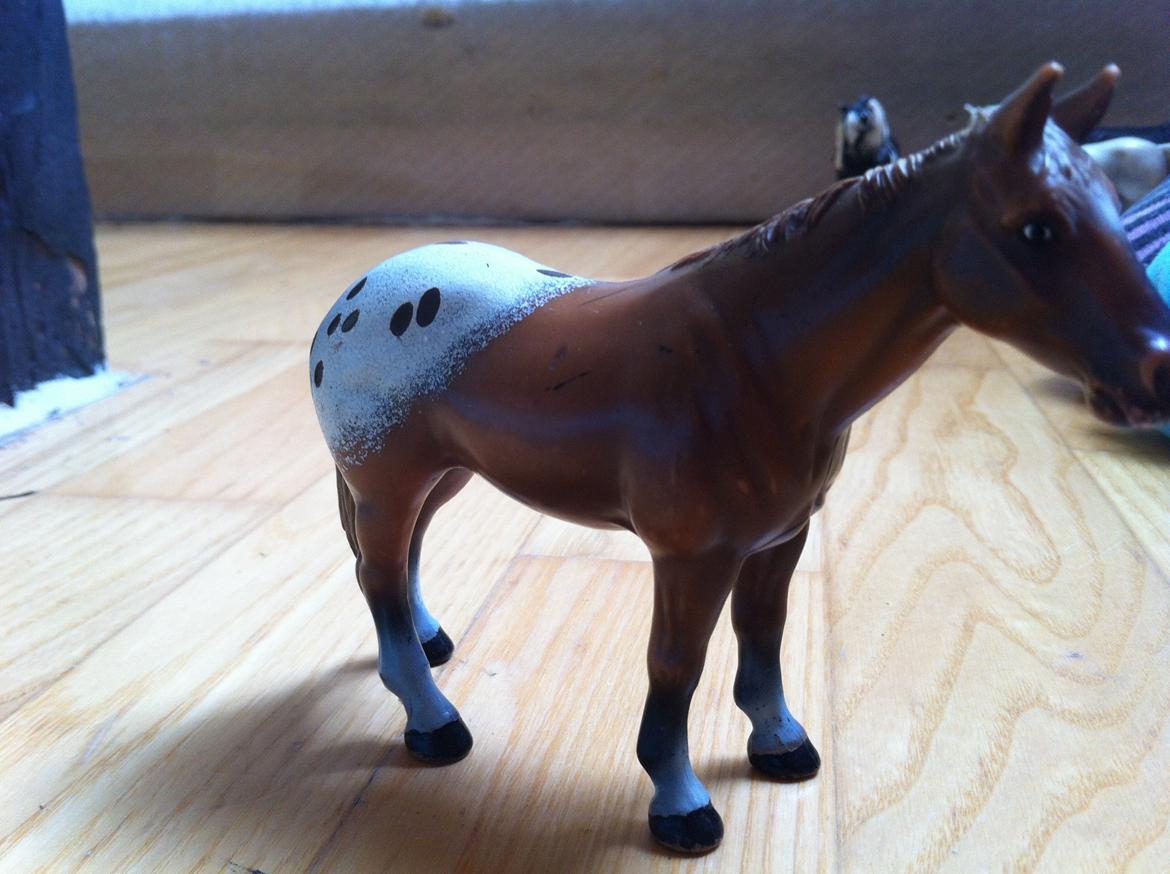 Mine Schleich Heste - apoll køn:vallak alder:4½ stg:155 Race:Appalossa
bruges til: han er jo lige blevet tilredet så det er bare skridt trav og galop vær dag billede 20