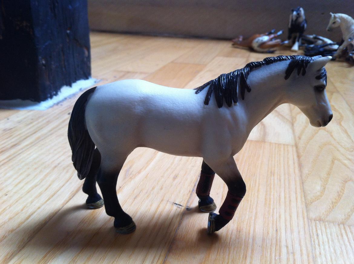 Mine Schleich Heste - Barcardi køn:vallak alder: 9 stg: 133 race: connemara
bruges til: han bruges til nybegyndere der kan få part på ham billede 25