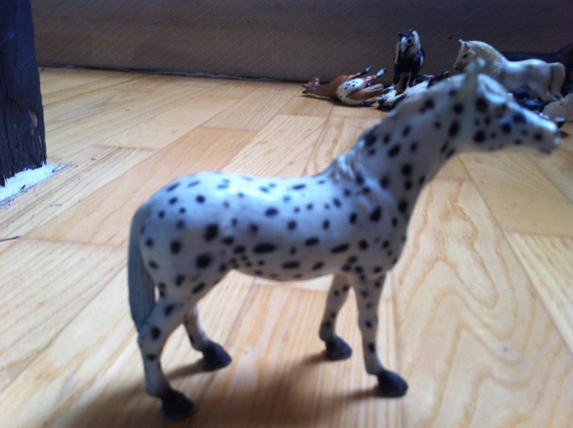 Mine Schleich Heste - cassandra køn:hoppe alder:16 stg.152 Race:knabstrupper (Staves?)
bruges til: skovture hun har spat og gigt i alle fiere
Solgt!! billede 7