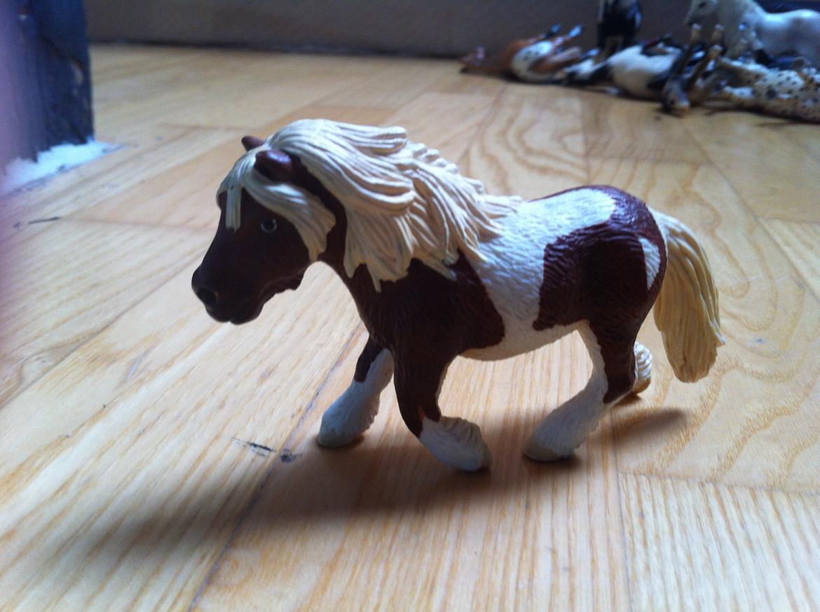 Mine Schleich Heste - bellasarah køn:hoppe alder:20 stg:97 Race:shetter bruges til: til små piger som kan bedsteme over hende billede 13