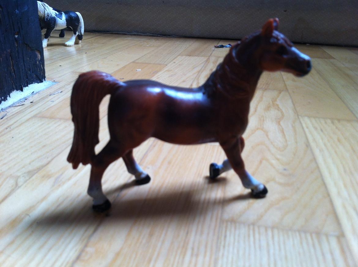 Mine Schleich Heste - natasja køn:hoppe alder:4 stg:155 Race:Araber bruges til: igang med tilridning SOLGT! billede 14