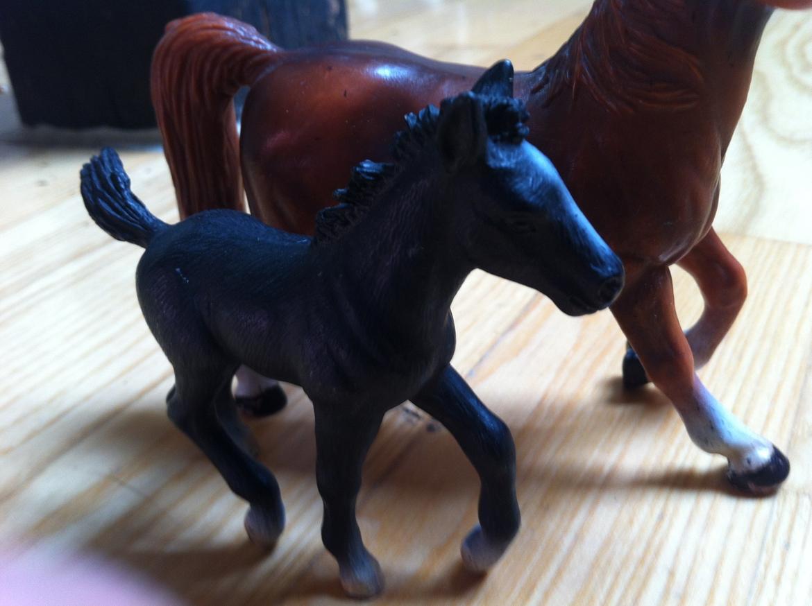 Mine Schleich Heste - arab køn:hingst alder: 7
måneder stg:112 Race:Araber
bruges til: han er jo føl!
Solgt!!! billede 27