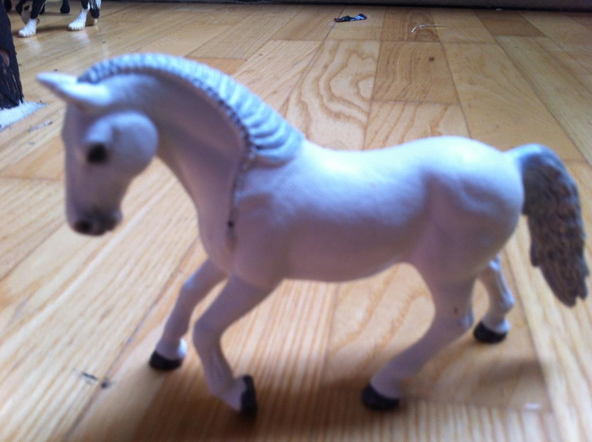 Mine Schleich Heste - bell køn:hoppe alder:5 stg:166 Race:Dansk varmblod bruges til: hun bruges til spring og dressur stævner så lidt af det helle billede 16