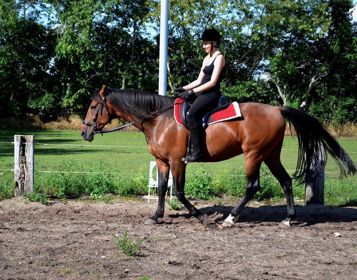 Vores billedebog. - Første gang med hackasun, og han var skøn! <3 billede 113