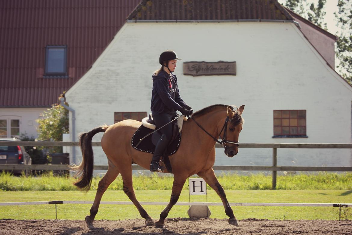 Åbent hus i ÆRR d. 17/08-12 billede 1