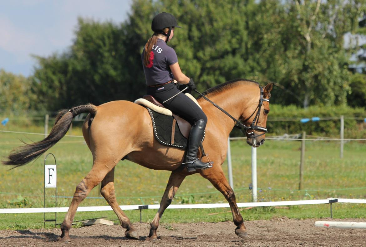 Åbent hus i ÆRR d. 17/08-12 billede 6