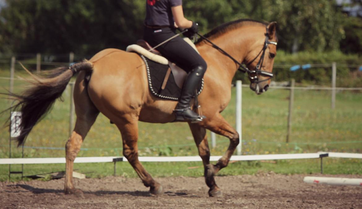 Åbent hus i ÆRR d. 17/08-12 billede 7