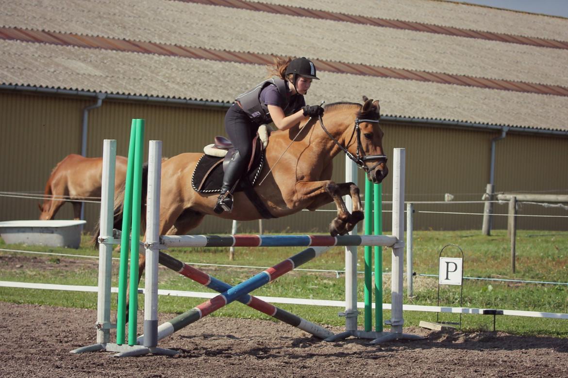 Åbent hus i ÆRR d. 17/08-12 billede 9