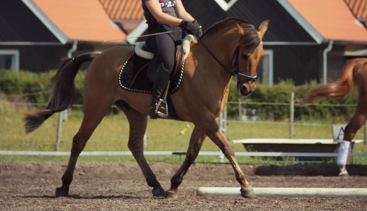 Åbent hus i ÆRR d. 17/08-12 billede 10