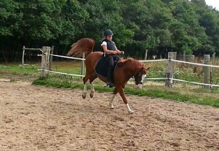 West Side Blue Hit & Sofie <3 - Og han giver gerne et lille bukspring i Galoppen, som vi er lidt udfordret med :)  billede 2