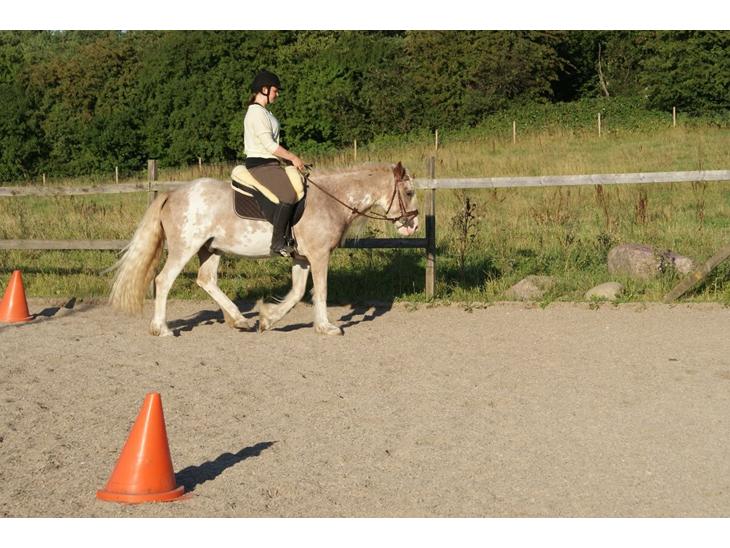 {{currentPhoto.altText}} billede {{currentPhoto.number}}